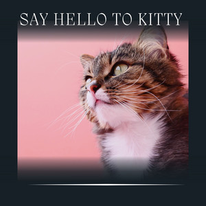 Say Hello to Kitty album