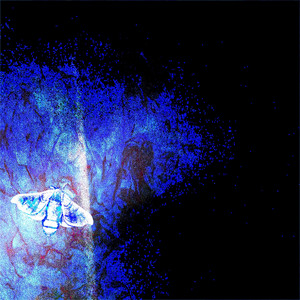 SUICIDE (EVALUATION X PVGLIUZZ) by xionun
