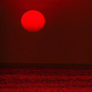 The Sea Was Red