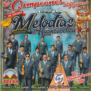 Orquesta Folklórica Melodías de Huancavelica - ¿Por qué te fuiste, mi amor?