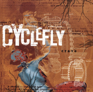 Selophane Fixtures by Cyclefly