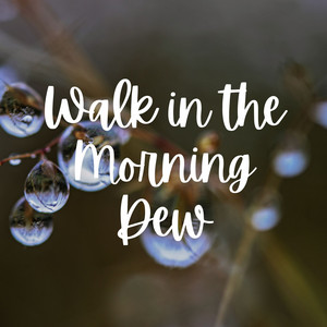 Walk in the Morning Dew album