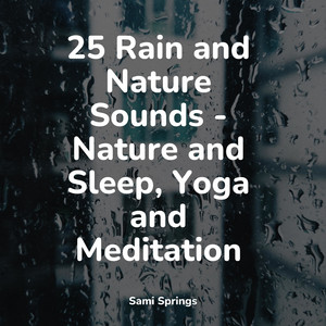 25 Rain and Nature Sounds - Nature and Sleep, Yoga and Meditation album