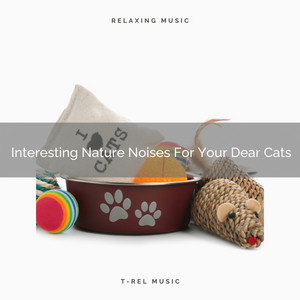 Interesting Nature Noises For Your Dear Cats album