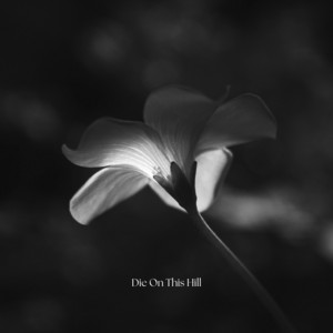 Die On This Hill by Softhand