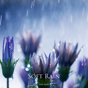 Soft Rain by Niall Doyle