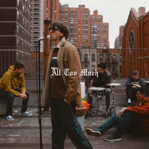 All Too Much by Plastic Icons