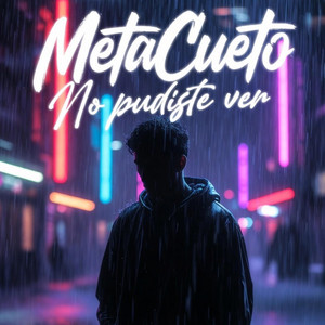 No Pudiste Ver