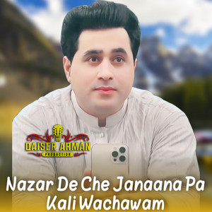 Shah Farooq - Nazar De Che Janaana Pa Kali Wachawam