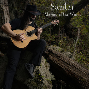 Voice on the Wind by Samtar