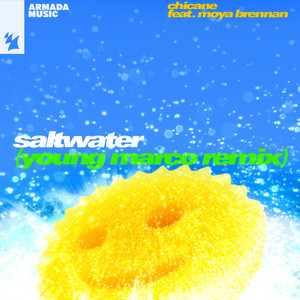 Saltwater - Young Marco Extended Remix by Chicane, Moya Brennan, Young Marco