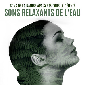 Paysage sonore sous-marin