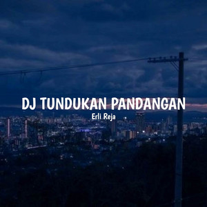 DJ Tundukan Pandangan - Remix by Erli Reja, Raffa Affar