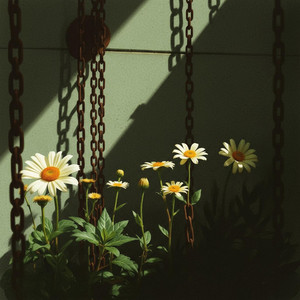 Roots of trust by Der Strandlaicher
