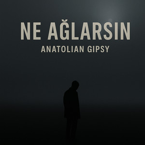 Ne Ağlarsın by Anatolian Gipsy