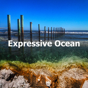 Expressive Ocean album