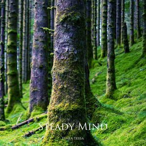Steady Mind by ELARA TESSA
