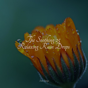 The Soothing 25 Relaxing Rain Drops album