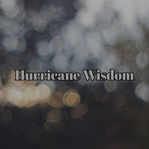 Hurricane Wisdom by Lil Birdie