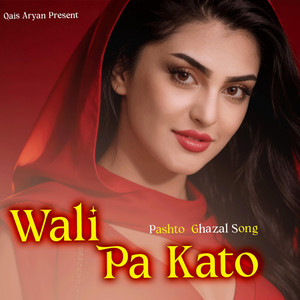 Qais Aryan - Wali Pa Kato