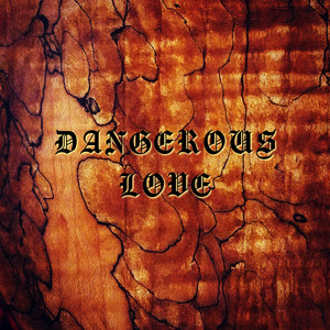 Dangerous Love by Jamie Robinson