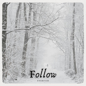 Follow (Radio edit) by Everfish