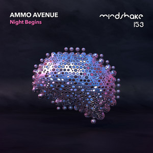 Sudden Lee - Radio Edit by Ammo Avenue