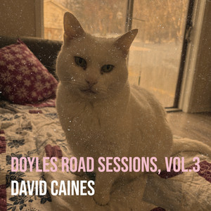 album cover: Doyles Road Sessions, Vol.3