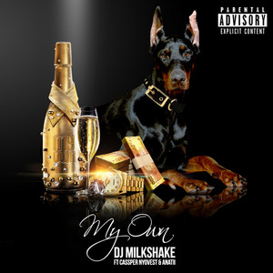 My Own by DJ Milkshake