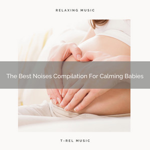 The Best Noises Compilation For Calming Babies album