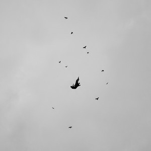 Sabah Beş by noma