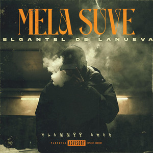 Mela suve
