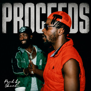 Proceeds by Kwaw Kese, Oseikrom Sikanii