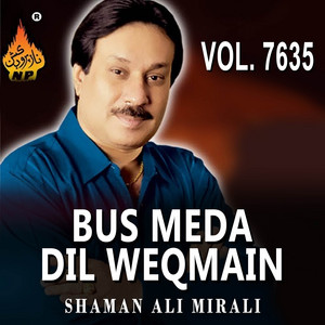 Shaman Ali Mirali - Teri Yadain Bhula Na Paun Ga