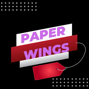 Paper Wings by DJ MC BoyQueezz