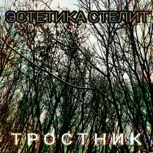 Эстетика Стелит — Тростник