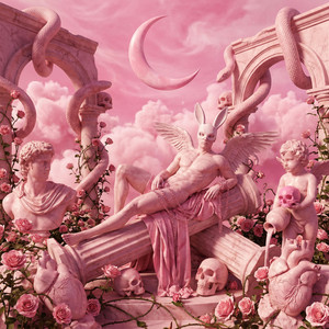 Portada de Pink Toy Ritual