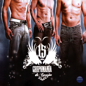15 Años De Corazon album