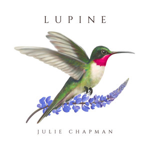 Lupine by Julie Chapman