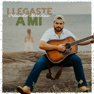 Llegaste a Mí by Orlando Mendez