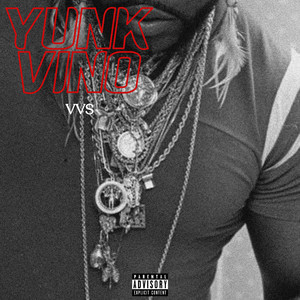Portada de VVS