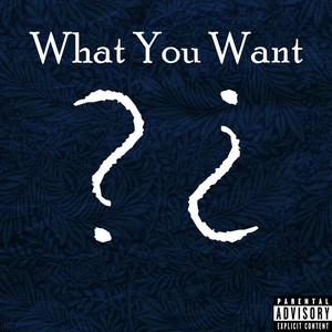 What You Want by Ozcar, Ballerbanks