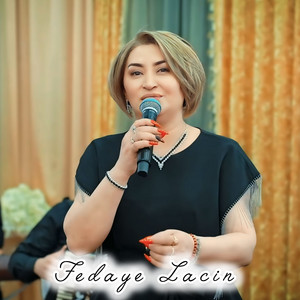 Fədayə Laçın - Niyə yox deyirsən, Nə deyim