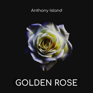 Golden Rose by Anthony Island