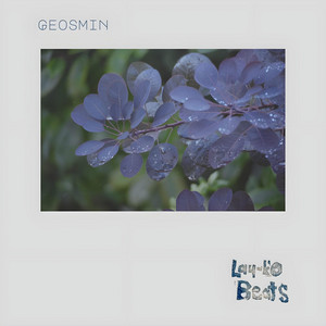 Geosmin by Lay-Ko Beats