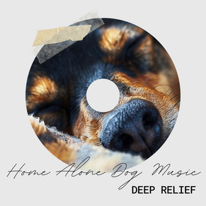 Dog Music: Gentle Instrumental Song Collection to Relax Your Dog
