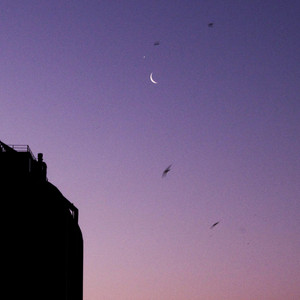 joyful moments by i still dream of us