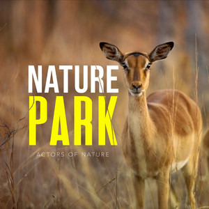 Nature Park album