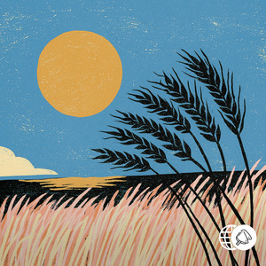 Sway by Foli, juice10
