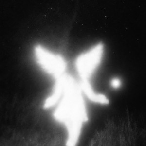 What a dream by Angel